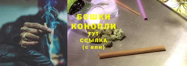СК Богородск
