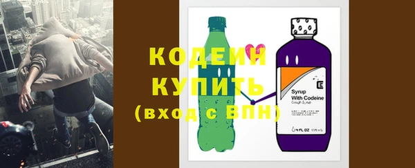 дурь Богданович